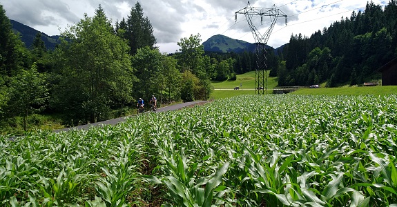 Cycle path